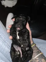 processed/b8ee3606-1db3-470a-93b8-a5ed9591d1fe/listing/ab2f6a8a-41a8-459b-989f-aa92da3faa6e/18ea1f96-ffcb-4163-a137-a8aeb9dd0022