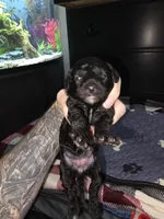 processed/b8ee3606-1db3-470a-93b8-a5ed9591d1fe/listing/ab2f6a8a-41a8-459b-989f-aa92da3faa6e/267baf91-a2d7-452e-aff9-b0033623e46f