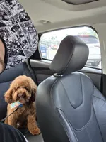 processed/b8ee3606-1db3-470a-93b8-a5ed9591d1fe/listing/ab2f6a8a-41a8-459b-989f-aa92da3faa6e/7fdbdaf1-07c9-42d2-903a-26a127b382f2