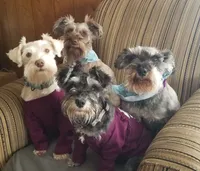 processed/b8f00e71-a1da-4baf-97e8-3ec296f69e7b/facility/31f2564d-1842-4dc5-8597-2d07a53a21c1