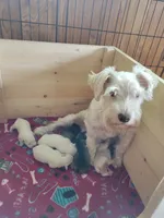 processed/b8f00e71-a1da-4baf-97e8-3ec296f69e7b/facility/649f58fd-dae2-4d4e-bc67-09c2e41ecf07