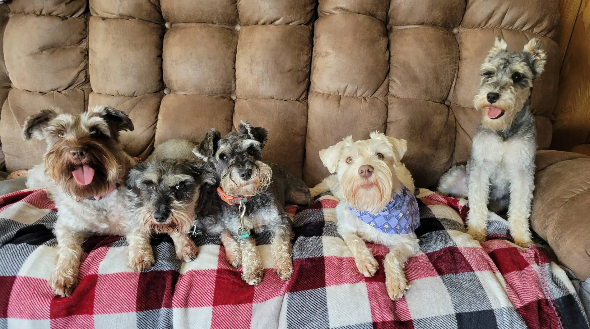 processed/b8f00e71-a1da-4baf-97e8-3ec296f69e7b/facility/7b5c8592-eb54-4ed0-bbae-d9c320976e47