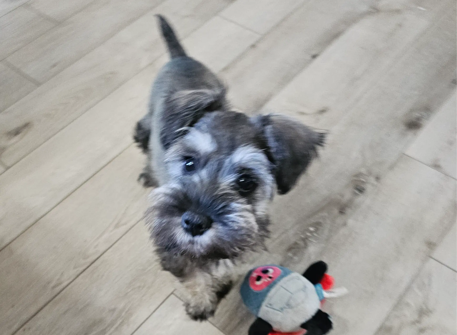 processed/b8f00e71-a1da-4baf-97e8-3ec296f69e7b/facility/c12376ec-984d-42b1-80cf-81c0af687b0d