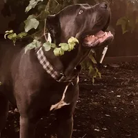 processed/b8f43558-06e0-4673-a737-7baee994aef2/facility/2ea3d779-0de6-4efa-8e5d-ead0dad695b8