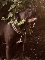 processed/b8f43558-06e0-4673-a737-7baee994aef2/facility/2ea3d779-0de6-4efa-8e5d-ead0dad695b8