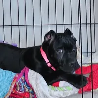 processed/b8f43558-06e0-4673-a737-7baee994aef2/facility/4f524736-af5e-4010-be55-068f8b975a2b