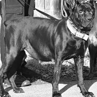 processed/b8f43558-06e0-4673-a737-7baee994aef2/facility/7fddf0d6-7ee3-43b9-8d6e-c799ae947c82