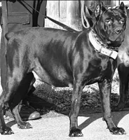 processed/b8f43558-06e0-4673-a737-7baee994aef2/facility/7fddf0d6-7ee3-43b9-8d6e-c799ae947c82