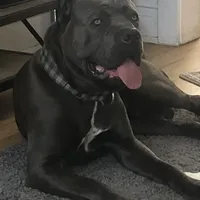 processed/b8f43558-06e0-4673-a737-7baee994aef2/facility/9911eed1-8177-4ebe-ba25-ef5a6e5827f6