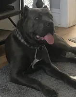 processed/b8f43558-06e0-4673-a737-7baee994aef2/facility/9911eed1-8177-4ebe-ba25-ef5a6e5827f6