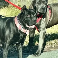 processed/b8f43558-06e0-4673-a737-7baee994aef2/facility/9c5dd30e-1ca1-4075-a085-4c5c68ea88a9