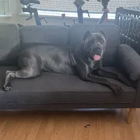 processed/b8f43558-06e0-4673-a737-7baee994aef2/facility/ade56860-f0c7-4186-b7e9-4a633265e83e