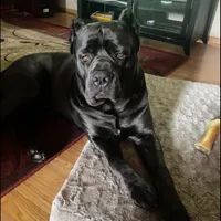 processed/b8f43558-06e0-4673-a737-7baee994aef2/facility/b57fd13b-5393-48fc-a3c6-582e4fbfaae0