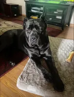 processed/b8f43558-06e0-4673-a737-7baee994aef2/facility/b57fd13b-5393-48fc-a3c6-582e4fbfaae0