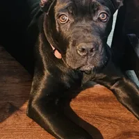 processed/b8f43558-06e0-4673-a737-7baee994aef2/facility/e9f6414c-0f8d-49a7-9c7e-0c731074e1ed