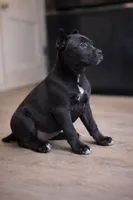 processed/b8f43558-06e0-4673-a737-7baee994aef2/listing/34ed9acd-2b66-4e5b-b7c3-9f2e76f84cca/35d00d05-a413-49f3-b5b3-86fdb9db583b