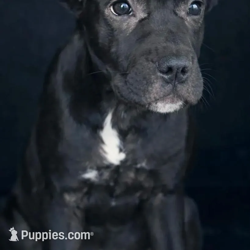 processed/b8f43558-06e0-4673-a737-7baee994aef2/listing/34ed9acd-2b66-4e5b-b7c3-9f2e76f84cca/5d40bc43-fdf8-4b3e-8f81-ae4f4fba6fcb