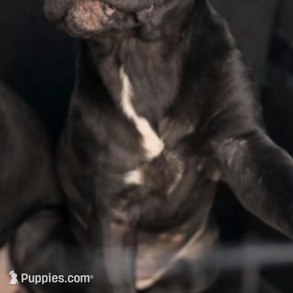 processed/b8f43558-06e0-4673-a737-7baee994aef2/listing/34ed9acd-2b66-4e5b-b7c3-9f2e76f84cca/817638da-8ce7-4482-8411-ba0636d24b03