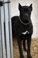 processed/b8f43558-06e0-4673-a737-7baee994aef2/listing/34ed9acd-2b66-4e5b-b7c3-9f2e76f84cca/e39dfb61-d4db-42ad-9646-6a69ca2439f5