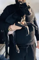 processed/b8f43558-06e0-4673-a737-7baee994aef2/listing/42a11544-a454-47f3-bb88-b54f9f6b4987/17f63c85-91a1-40e7-9725-9c0b37bfda2a