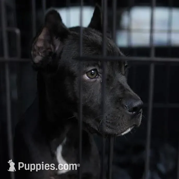 processed/b8f43558-06e0-4673-a737-7baee994aef2/listing/42a11544-a454-47f3-bb88-b54f9f6b4987/34ed9acd-2b66-4e5b-b7c3-9f2e76f84cca/5ea3634a-0b86-4079-989e-c884e9e054f1