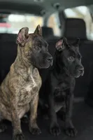 processed/b8f43558-06e0-4673-a737-7baee994aef2/listing/42a11544-a454-47f3-bb88-b54f9f6b4987/5de510ab-d104-464b-b0bb-1cafb0edd4b5