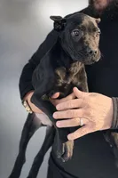 processed/b8f43558-06e0-4673-a737-7baee994aef2/listing/42a11544-a454-47f3-bb88-b54f9f6b4987/618d6f86-0aae-421e-8811-7db40f1b883c