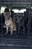 processed/b8f43558-06e0-4673-a737-7baee994aef2/listing/42a11544-a454-47f3-bb88-b54f9f6b4987/680d22c8-6b44-4f2c-9813-bf1b595cb74e