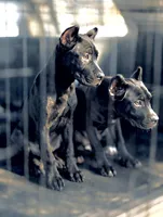 processed/b8f43558-06e0-4673-a737-7baee994aef2/listing/42a11544-a454-47f3-bb88-b54f9f6b4987/8338198c-1981-495e-8c8d-15d0d9a68a11