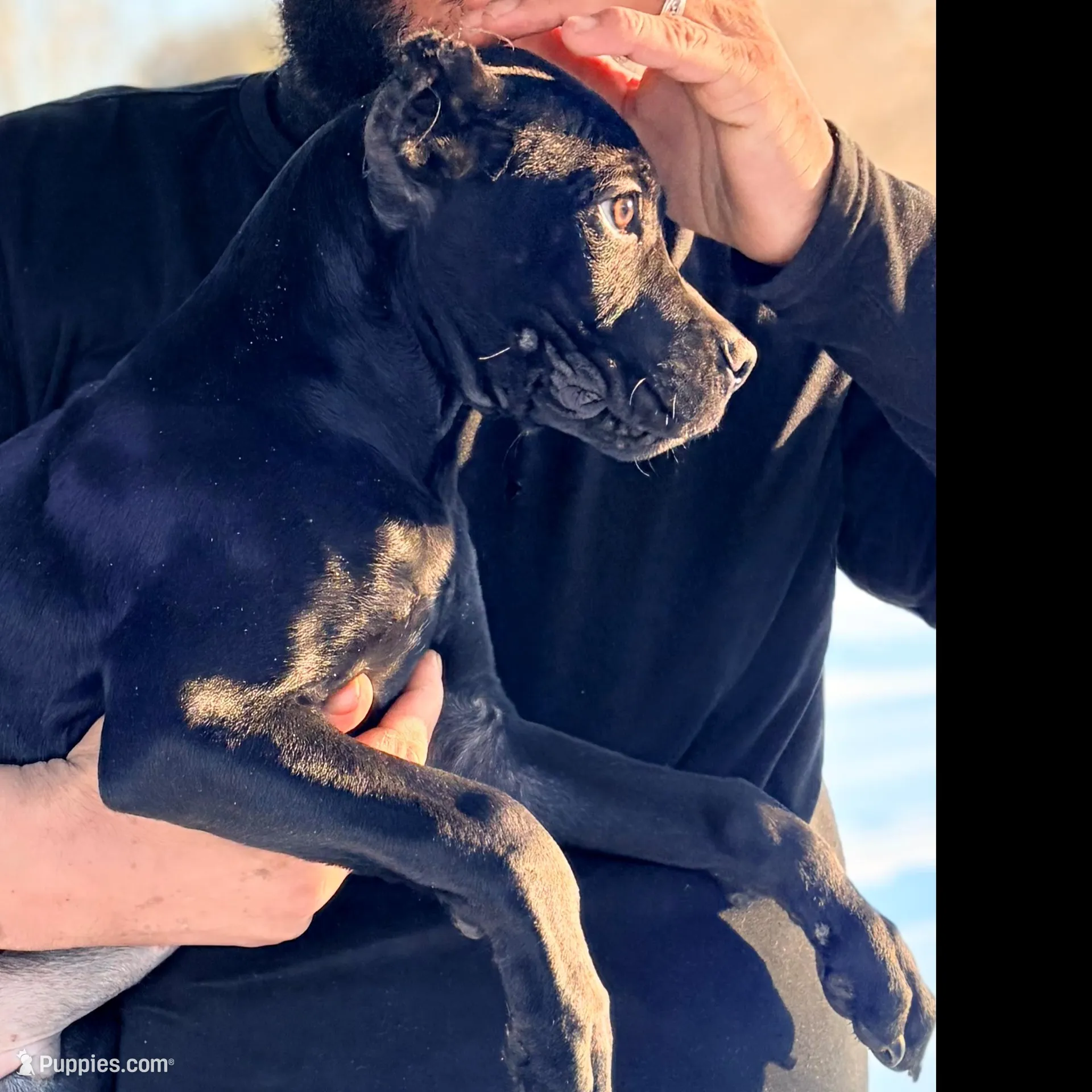 processed/b8f43558-06e0-4673-a737-7baee994aef2/listing/42a11544-a454-47f3-bb88-b54f9f6b4987/97041437-2ee6-4688-9720-72488ef309bf