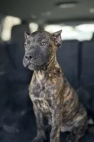 processed/b8f43558-06e0-4673-a737-7baee994aef2/listing/42a11544-a454-47f3-bb88-b54f9f6b4987/e1f39fb8-a810-4afa-bdfe-35479a92f143