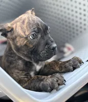 processed/b8f43558-06e0-4673-a737-7baee994aef2/listing/463b5897-42ff-45e9-ab4e-8997849ac337/1293bdf4-8f44-4546-981b-33b232699417