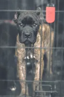 processed/b8f43558-06e0-4673-a737-7baee994aef2/listing/463b5897-42ff-45e9-ab4e-8997849ac337/866e9d3a-6600-4965-9789-cc07ffd182f4