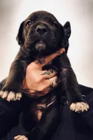 processed/b8f43558-06e0-4673-a737-7baee994aef2/listing/4d0af043-8d02-47c9-a548-31e509023bca/42def15e-35cb-496e-84d5-5146d14a0a64