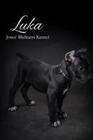 Luka, a male Cane Corso for sale in Anderson, IN – Photo 2 of 9