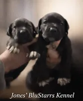 processed/b8f43558-06e0-4673-a737-7baee994aef2/listing/4d0af043-8d02-47c9-a548-31e509023bca/e4885a7a-05b3-4425-83fe-6831af1d09e7