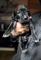 processed/b8f43558-06e0-4673-a737-7baee994aef2/listing/5896602d-a877-42ec-a497-4fce2077bdb1/5b58923e-ed8a-41c0-ae7a-a7999ddf1a31