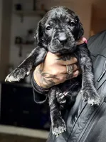 processed/b8f43558-06e0-4673-a737-7baee994aef2/listing/5896602d-a877-42ec-a497-4fce2077bdb1/878c7981-4ee2-4e41-a385-26588bc7503a