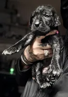 processed/b8f43558-06e0-4673-a737-7baee994aef2/listing/5896602d-a877-42ec-a497-4fce2077bdb1/b50246d1-5158-450c-874f-014ebea500a0