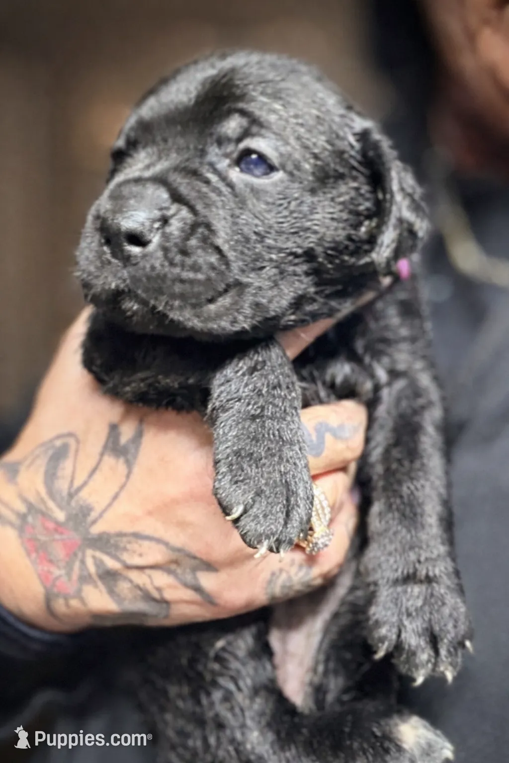 processed/b8f43558-06e0-4673-a737-7baee994aef2/listing/87bd3705-e3d7-40fd-b4a0-0f1b0a8a9296/97ed081a-aac6-4e94-856a-5e1be9512532