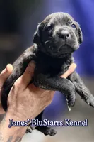 processed/b8f43558-06e0-4673-a737-7baee994aef2/listing/87bd3705-e3d7-40fd-b4a0-0f1b0a8a9296/a37ec420-cdd4-4437-b38a-3b93ec81a4c1