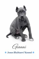 Gianni, a female Cane Corso for sale in Anderson, IN – 7 of 10