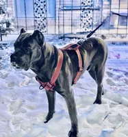 processed/b8f43558-06e0-4673-a737-7baee994aef2/listing/b137e689-981c-486f-b2b1-12c26b7cfc4d/76597a03-a046-4070-99c9-13ae00b1df05