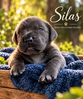 Silas, a male Cane Corso for sale in Anderson, IN – 2 of 10