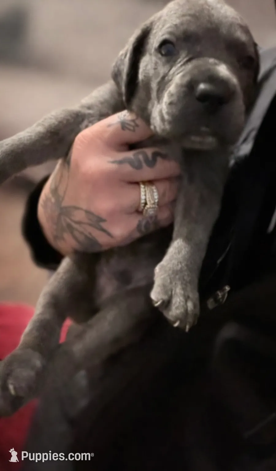 processed/b8f43558-06e0-4673-a737-7baee994aef2/listing/e223adde-06e0-44d6-8d53-9458e2ec6a95/1402f461-dfa0-497a-9f96-66ceff2800d4