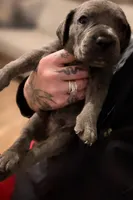 processed/b8f43558-06e0-4673-a737-7baee994aef2/listing/e223adde-06e0-44d6-8d53-9458e2ec6a95/3b2c8397-d812-49f2-9e2e-5c19317d2cd3