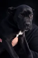 processed/b8f43558-06e0-4673-a737-7baee994aef2/listing/ecb20509-1b4f-4e1f-a35f-d13346768f65/013f50da-679d-4127-84d6-54d0e91741cb