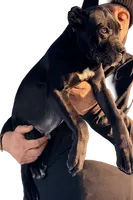 processed/b8f43558-06e0-4673-a737-7baee994aef2/listing/ecb20509-1b4f-4e1f-a35f-d13346768f65/2da0caa7-b839-4c7e-9be6-eb939870abca