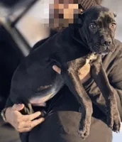 processed/b8f43558-06e0-4673-a737-7baee994aef2/listing/ecb20509-1b4f-4e1f-a35f-d13346768f65/3d7f5e61-c4bc-464d-9960-dce9b0cda99d