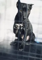 processed/b8f43558-06e0-4673-a737-7baee994aef2/listing/ecb20509-1b4f-4e1f-a35f-d13346768f65/43812cf3-3bd3-4b7d-9ba2-757bd9dae776